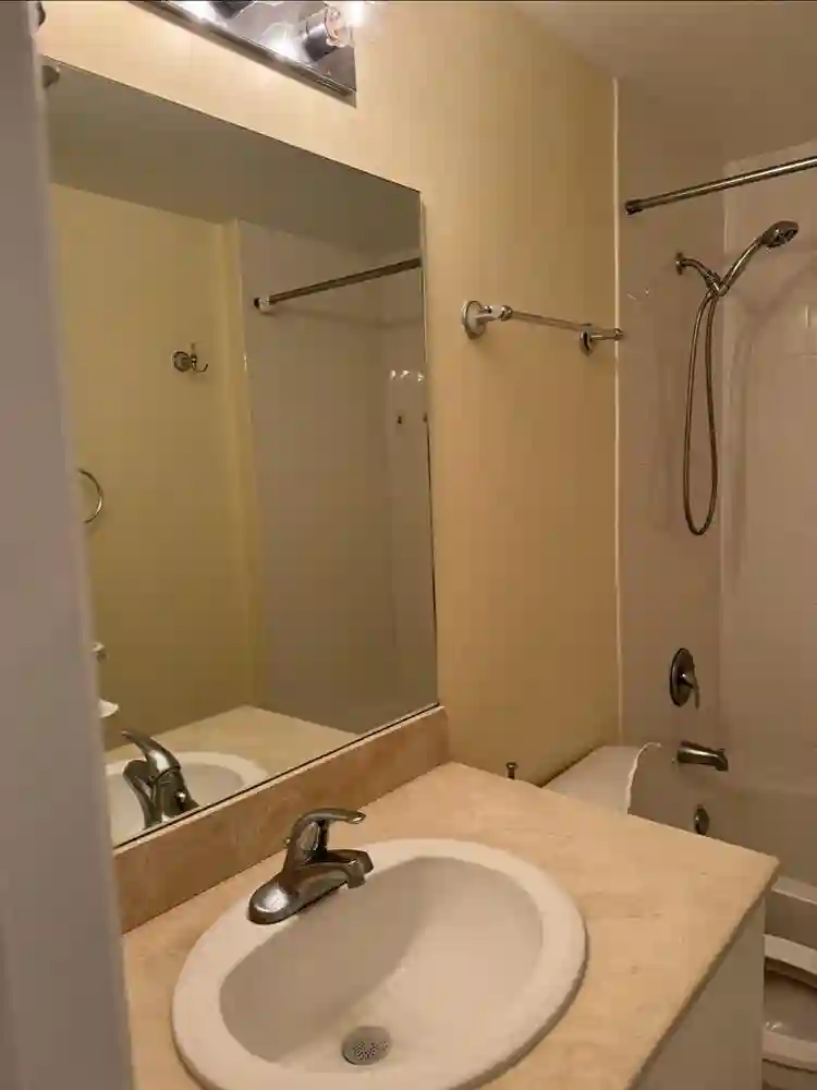 Female roommate wanted