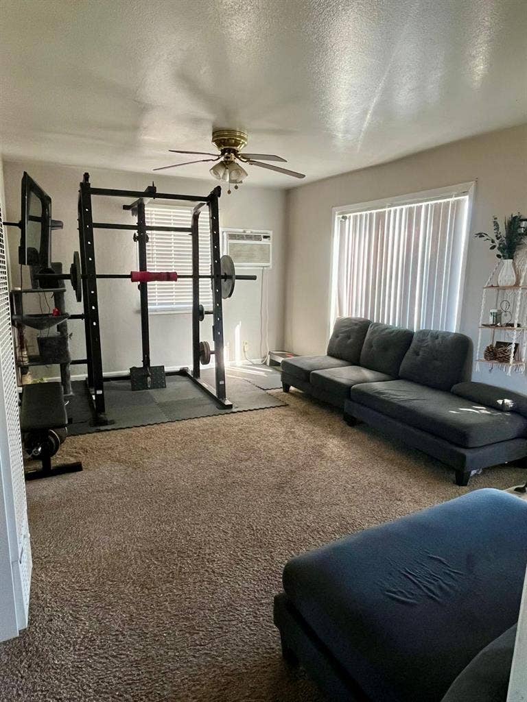 Room for Rent in French CampFemale