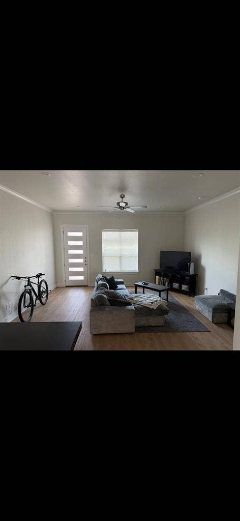 Looking for 4th roomate
