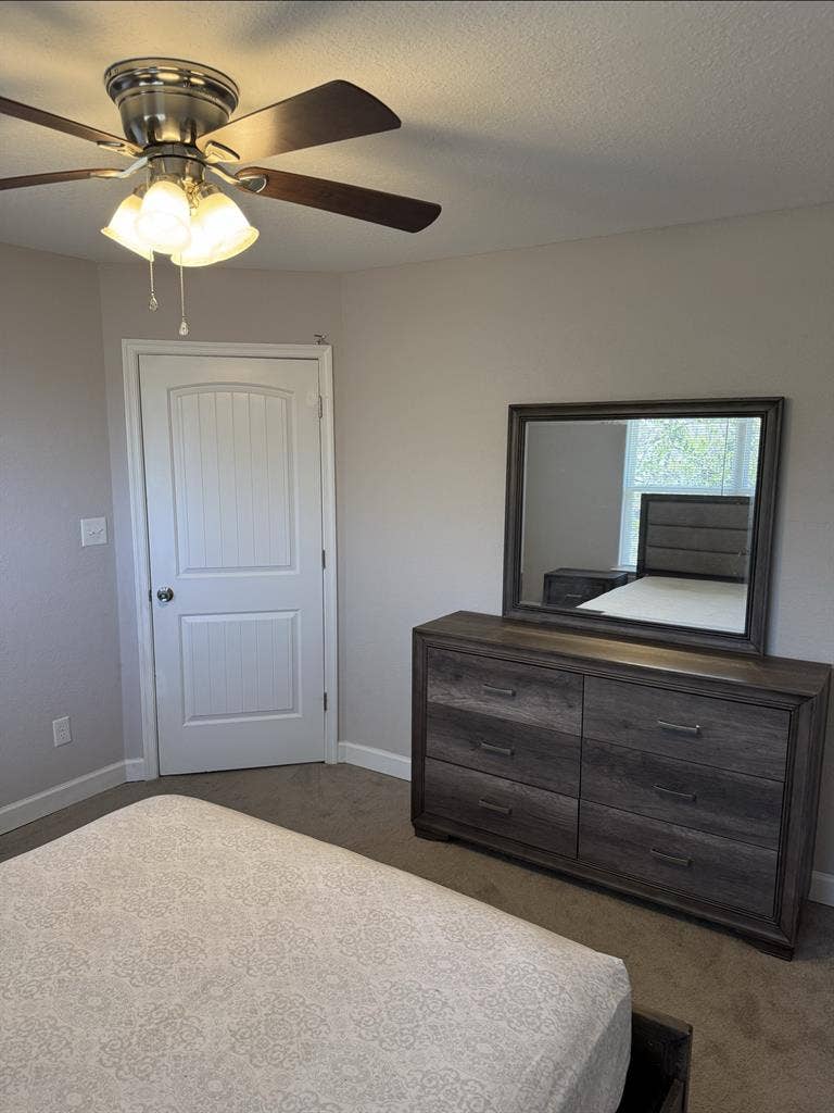 Beautiful furnished room