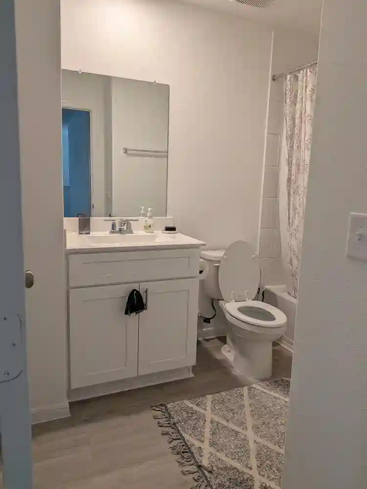 Furnished Master Suite in Crosby