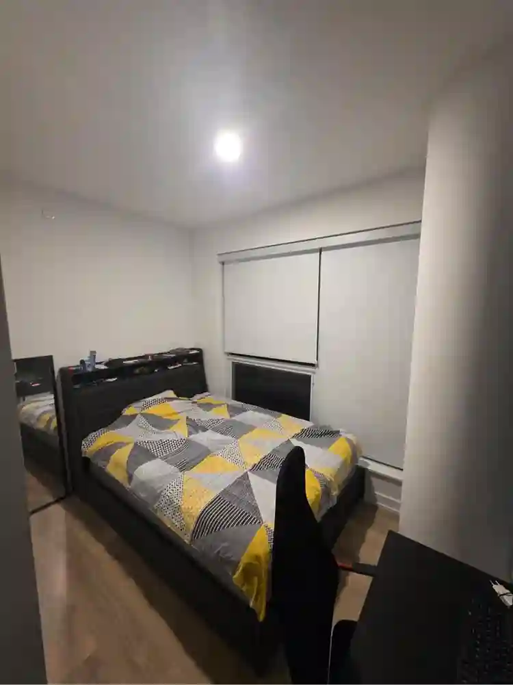 Looking for a roommate!