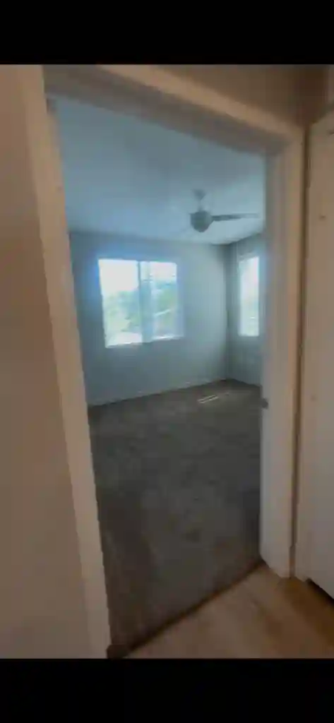 cozy downtown apartment