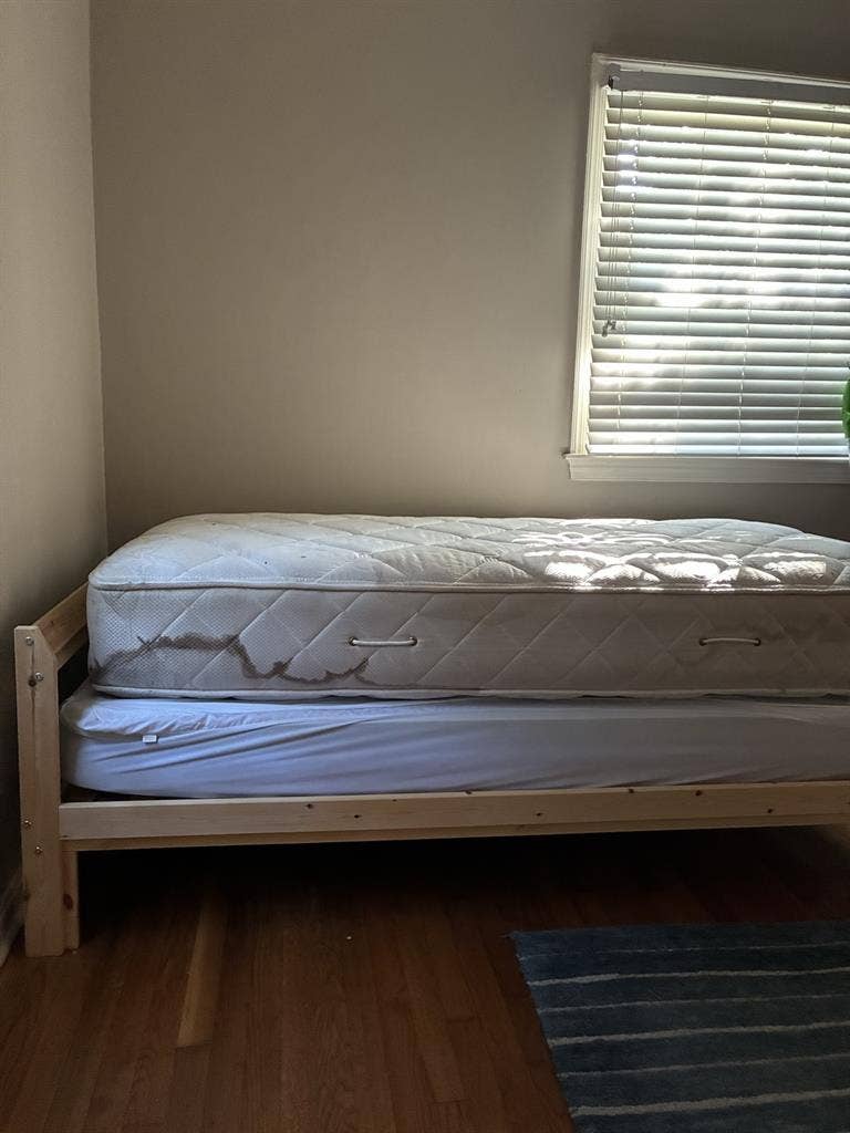 Room in quiet household for male