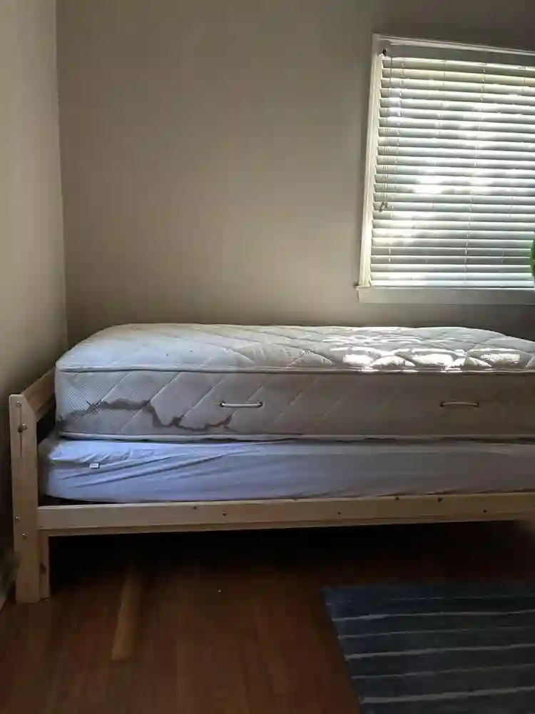 Room in quiet household for male