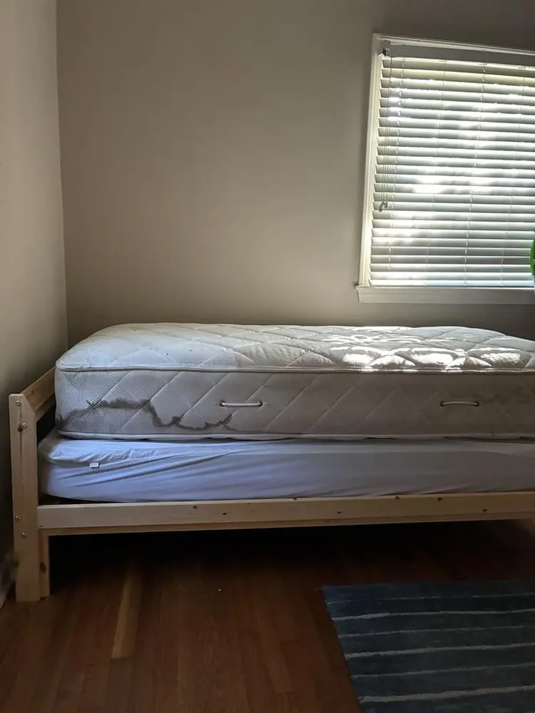 Room in quiet household for male