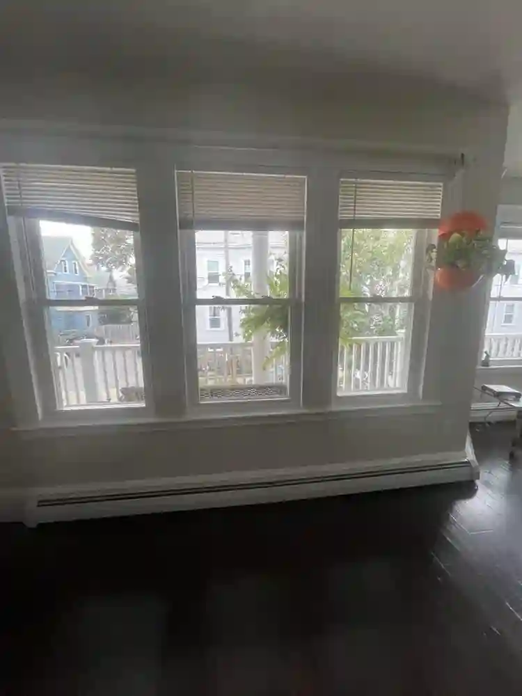 Need a roommate by January 1st:)