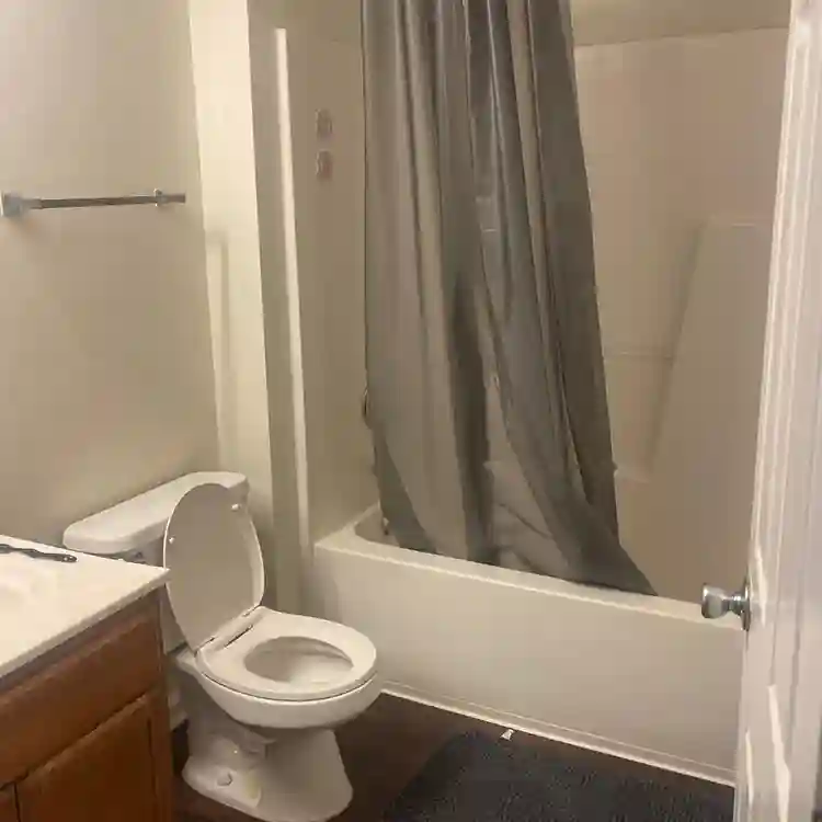 Looking for a roommate