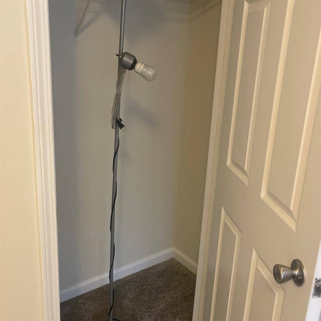 Looking for a roommate