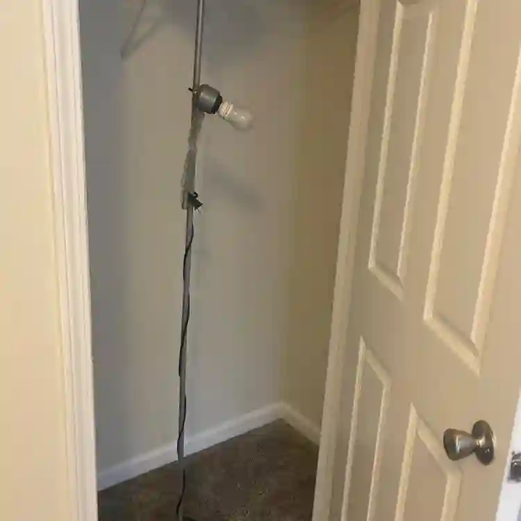 Looking for a roommate