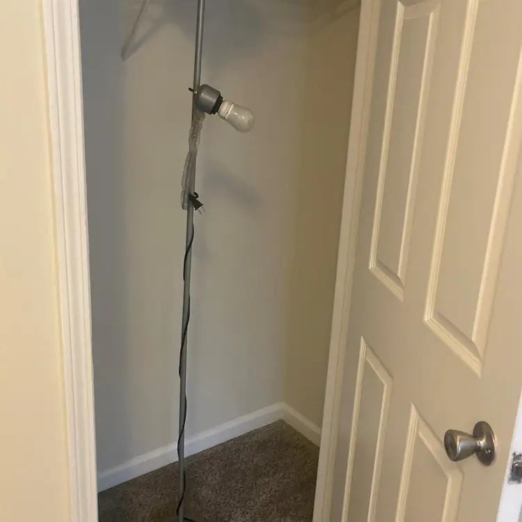 Looking for a roommate
