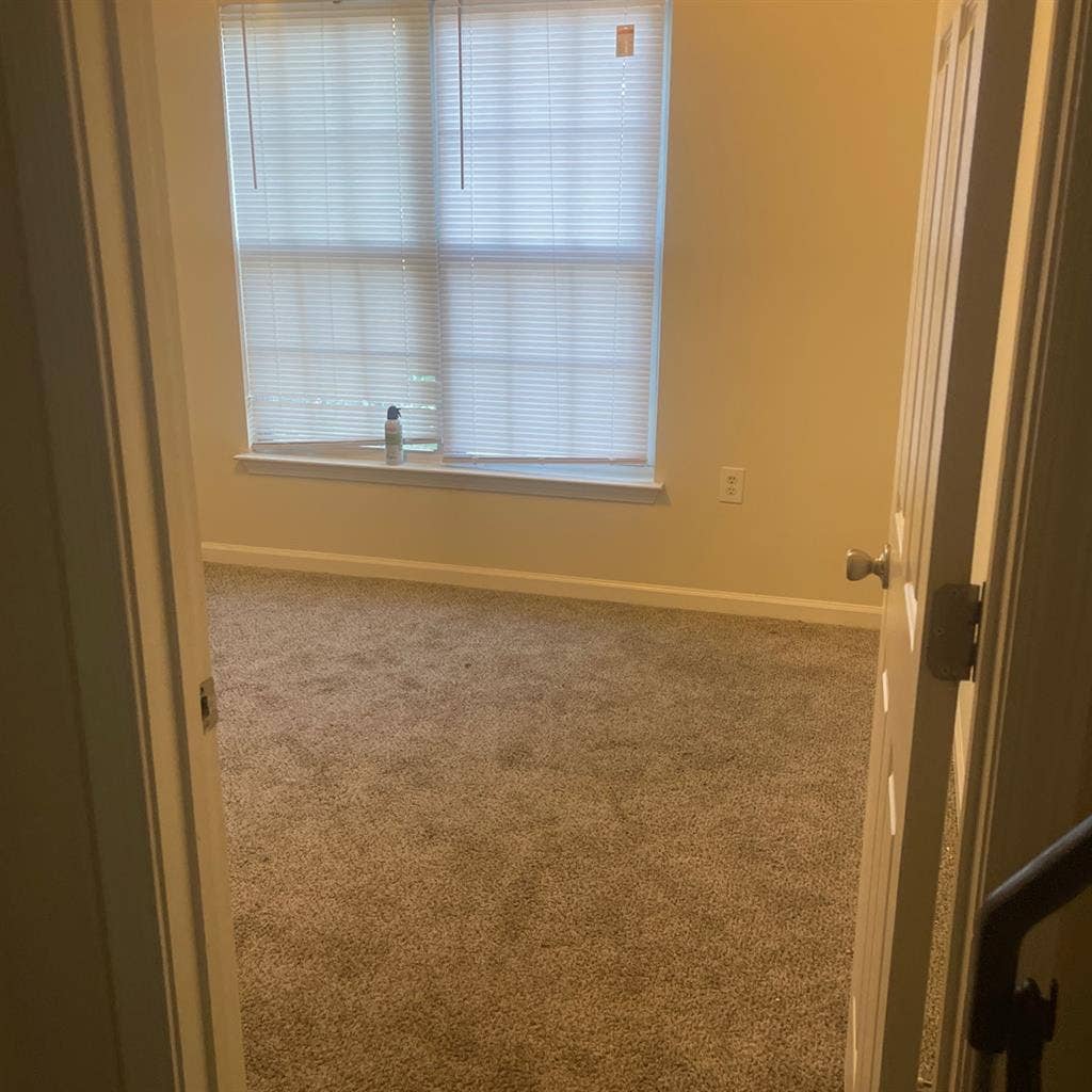 Looking for a roommate