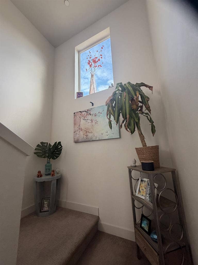 3 story Townhome- 2 rooms available