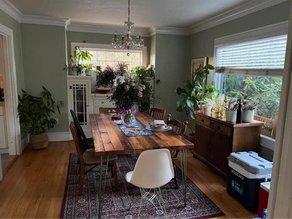 Looking for a roommate:)