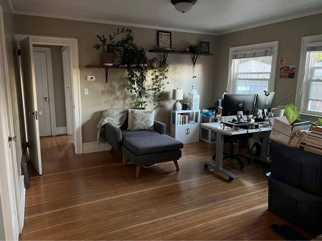 Looking for a roommate:)