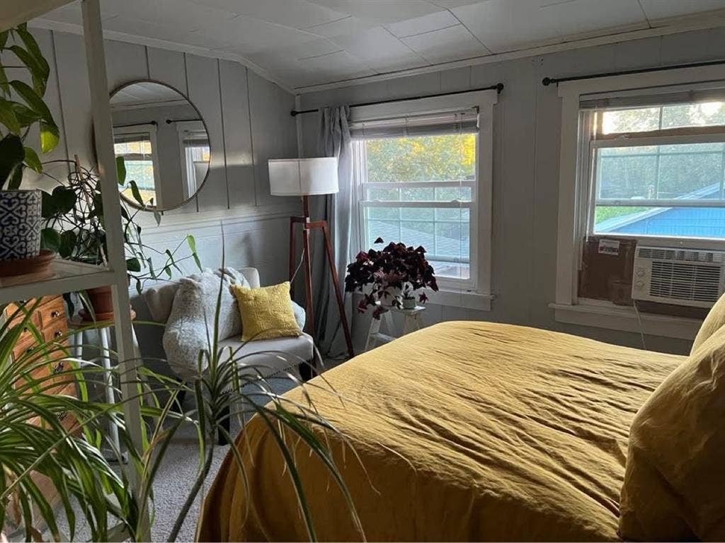 Looking for a roommate:)
