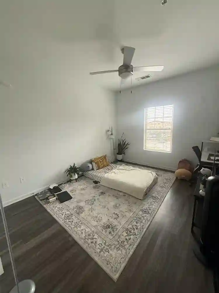 Roommate needed
