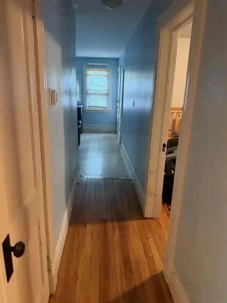 Looking for roommate