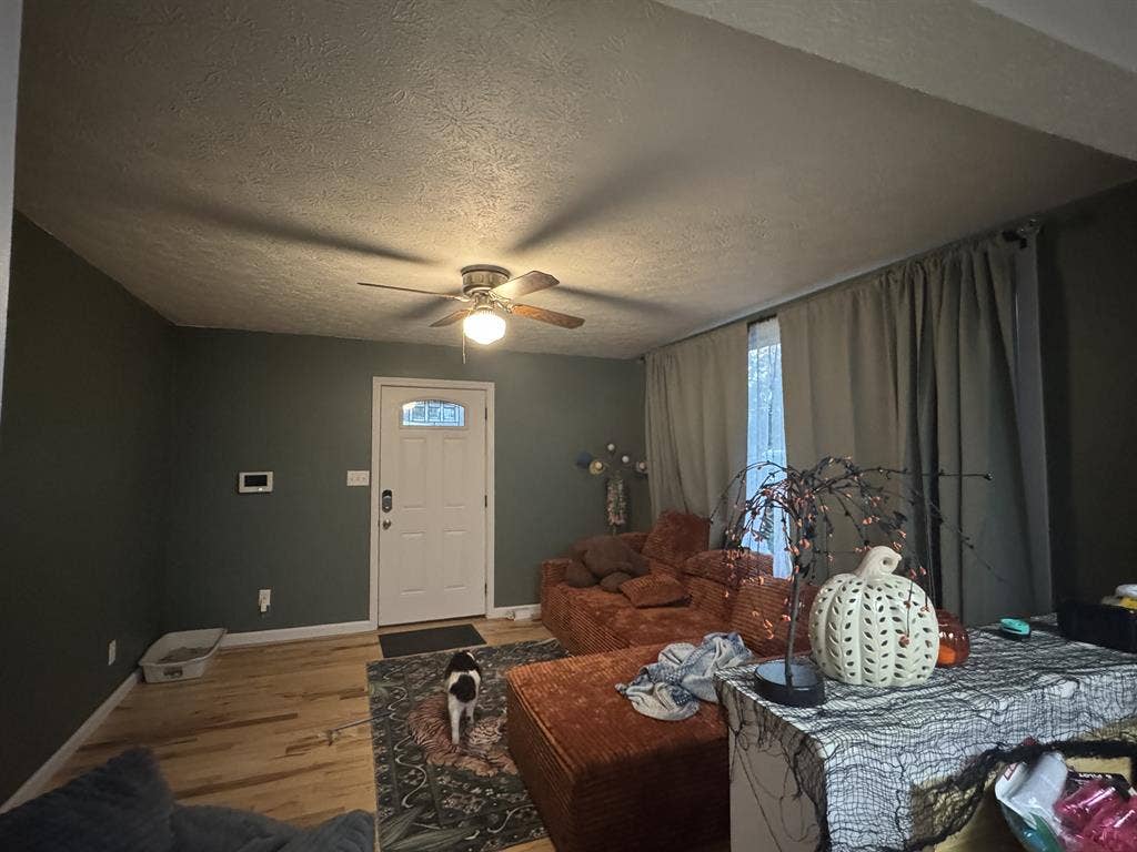 Roommate needed