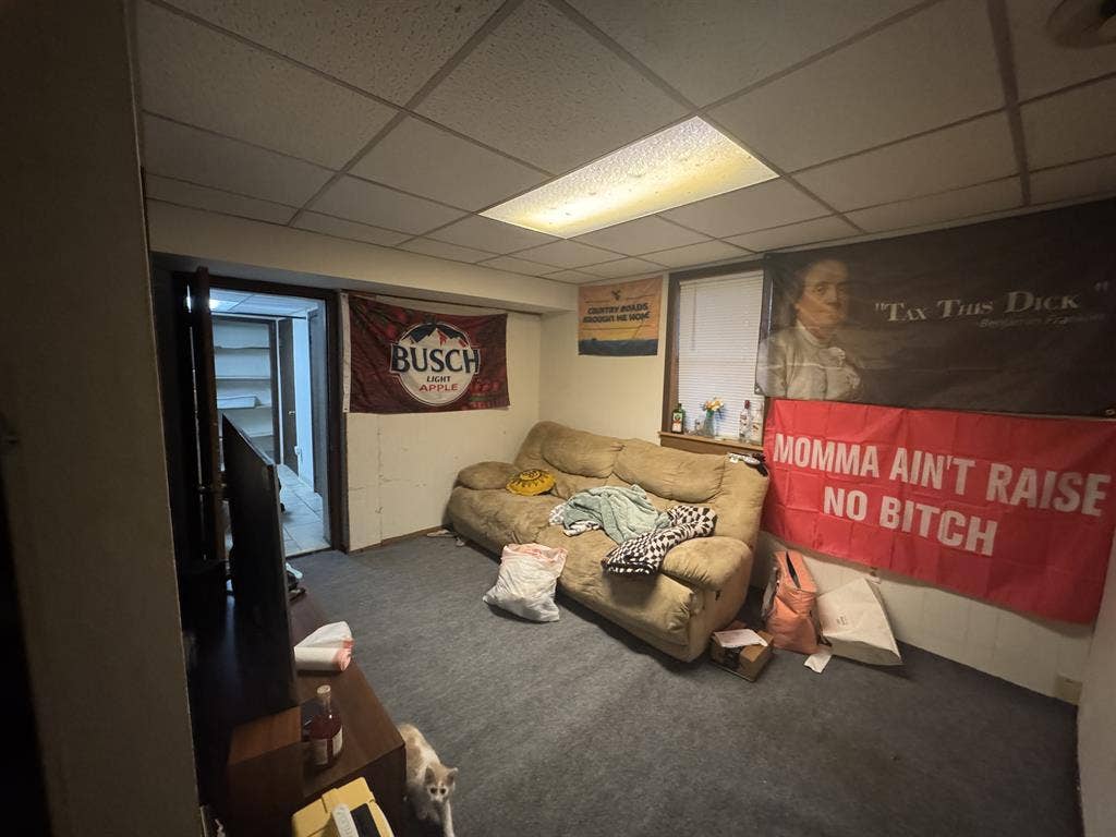 Roommate needed