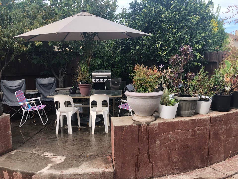 MiniSuite with dry bar /coffeeBar
