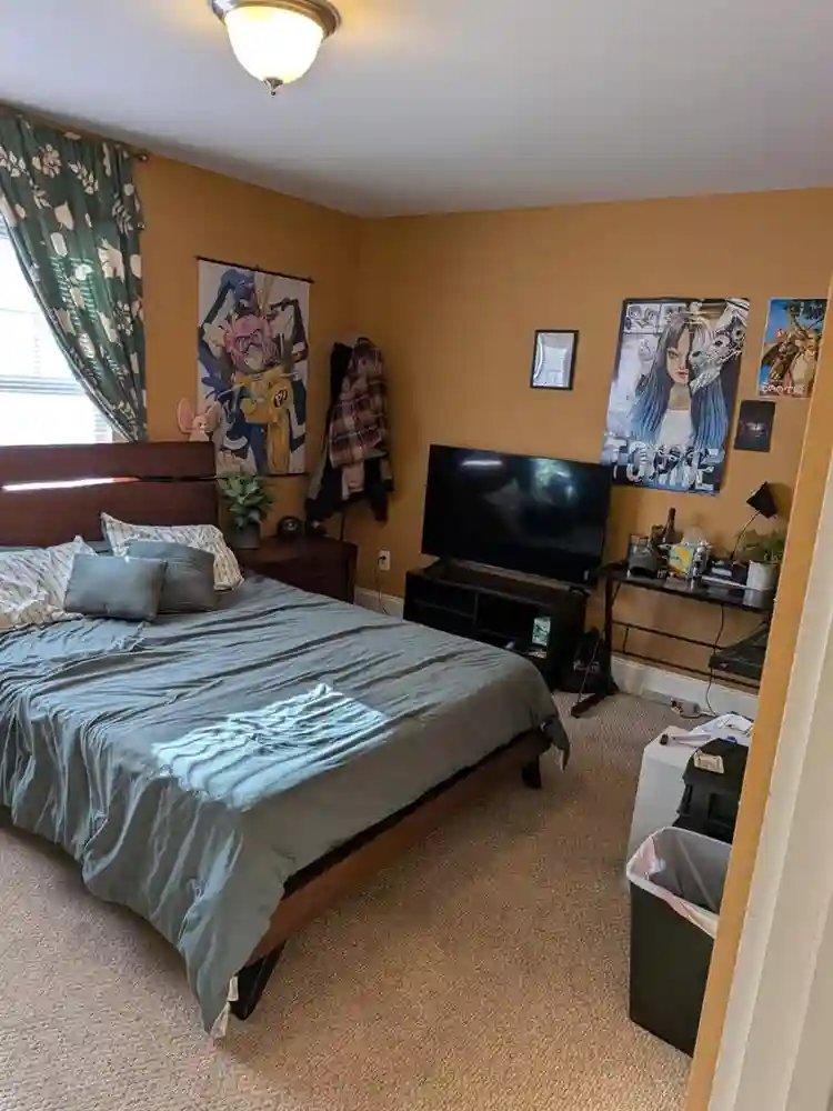 Room near downtown AVL $722