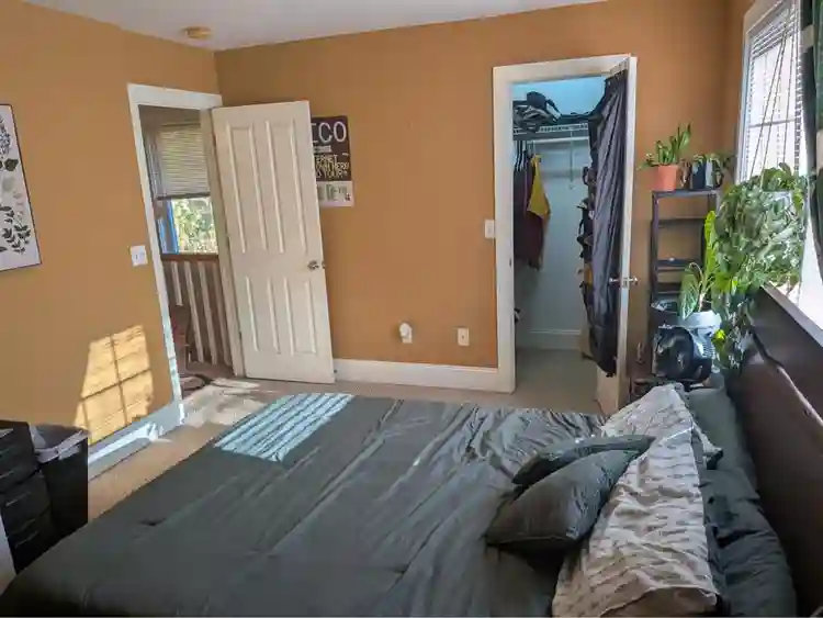 Room near downtown AVL $722
