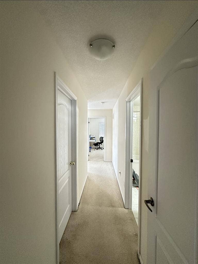 Private Room for rent for a girl.