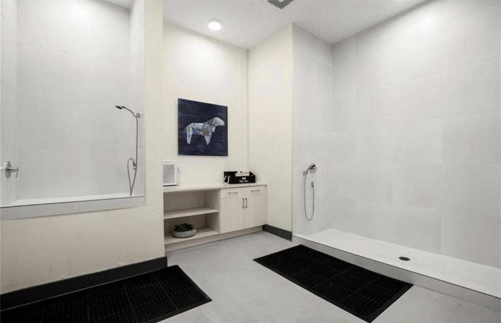 Modern 1B1B for rent