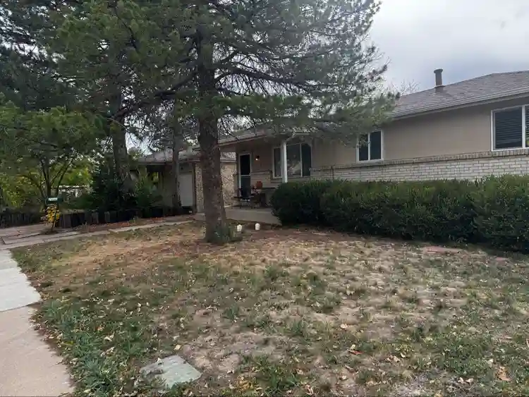 Room for Rent in Lakewoodd