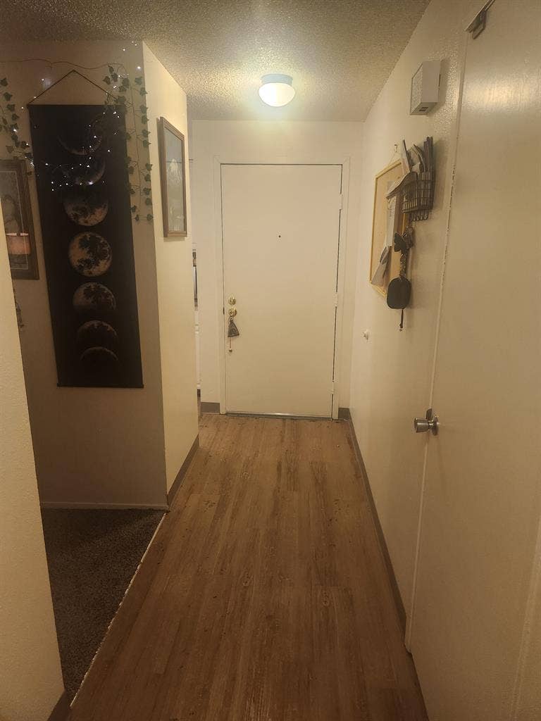 Looking for roommate