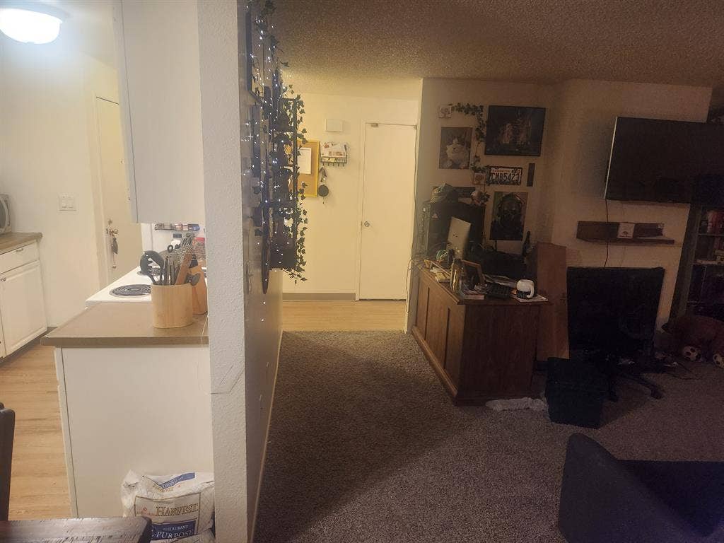 Looking for roommate