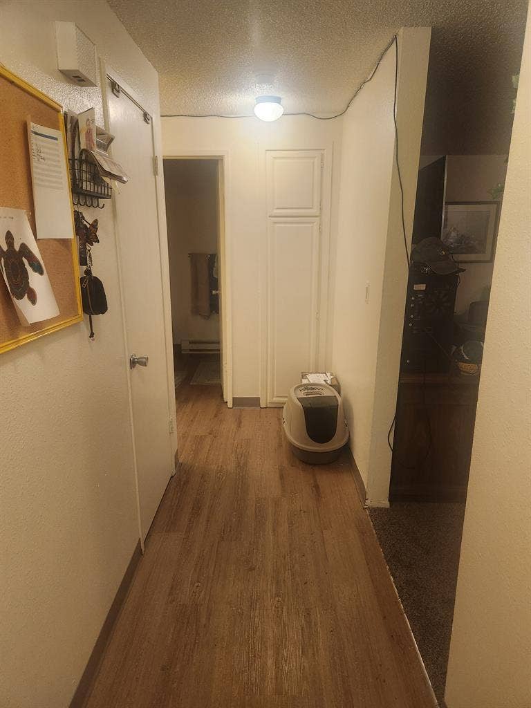 Looking for roommate