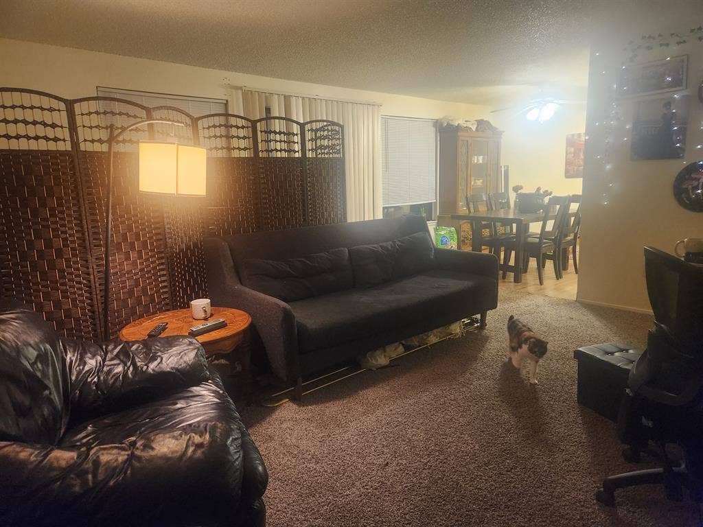 Looking for roommate