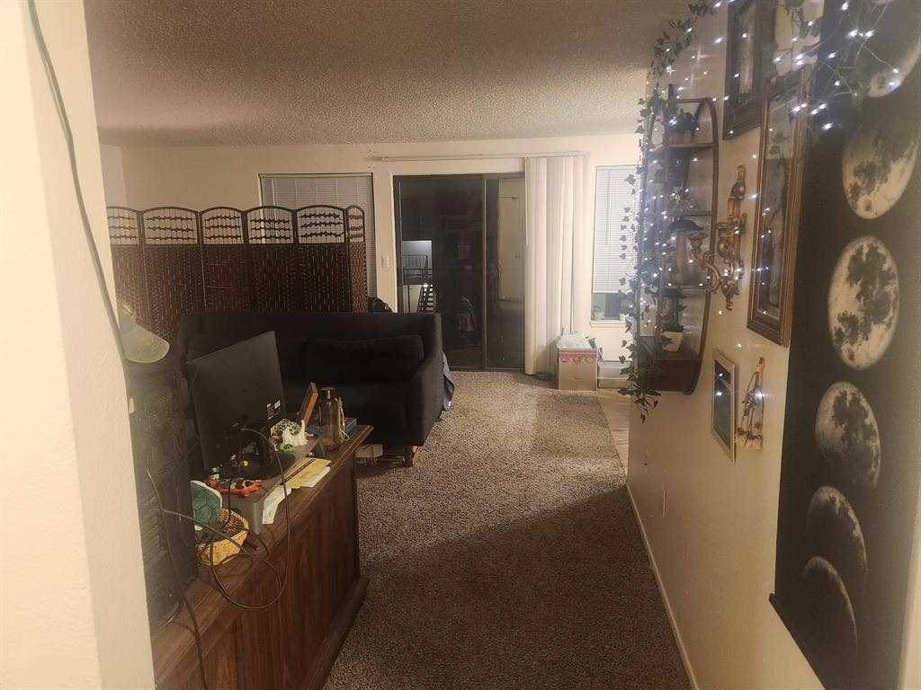 Looking for roommate
