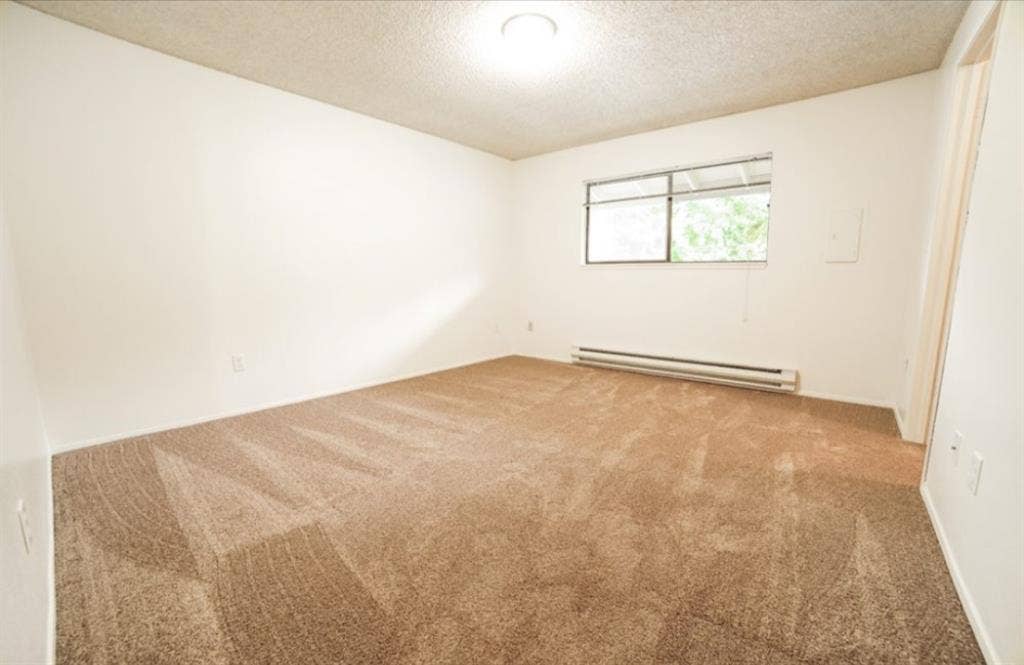 Looking for roommate