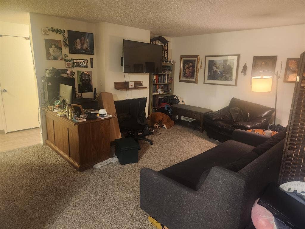 Looking for roommate