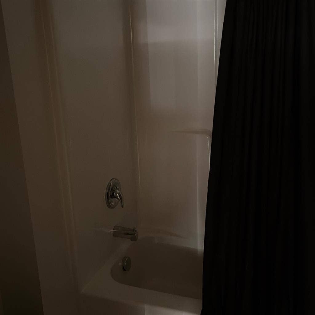 Room for rent!