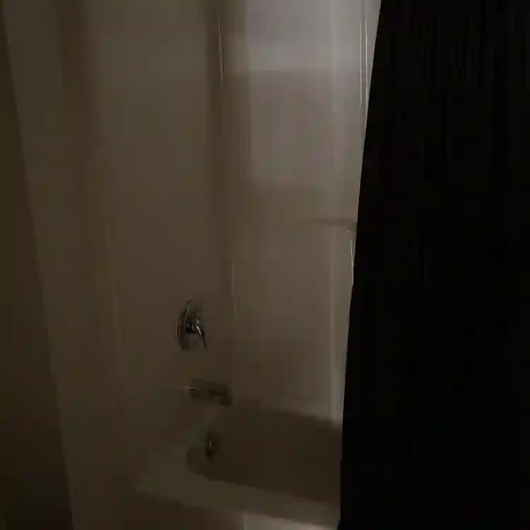 Room for rent!