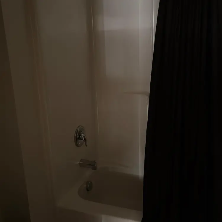 Room for rent!