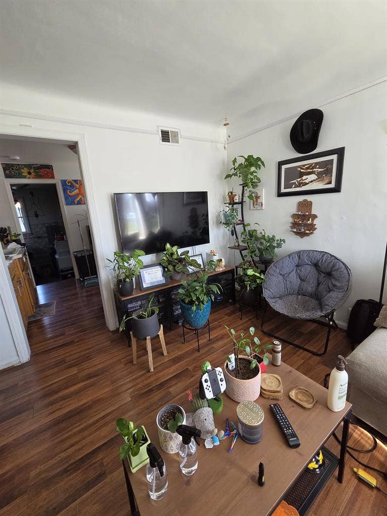 Room for rent