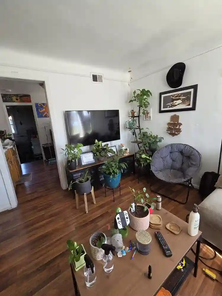 Room for rent