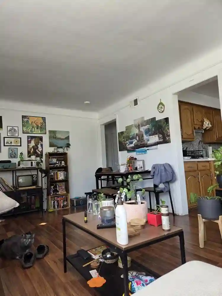 Room for rent