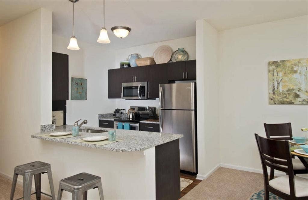 Seeking roommate with dog