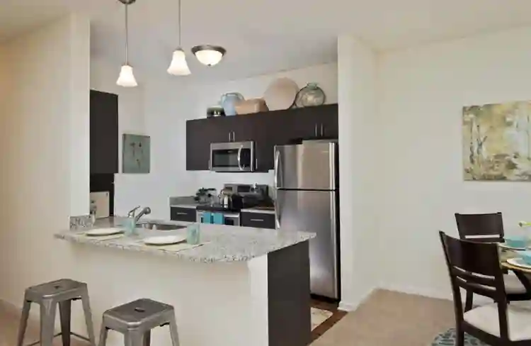 Seeking roommate with dog