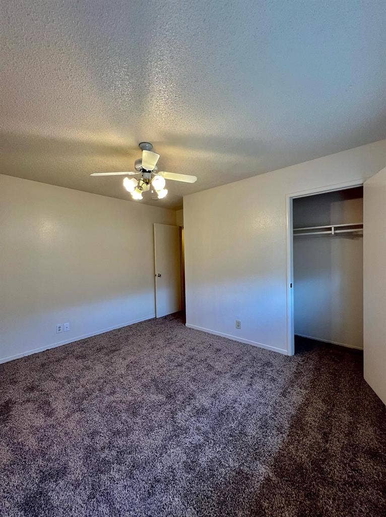 Room for rent in my home