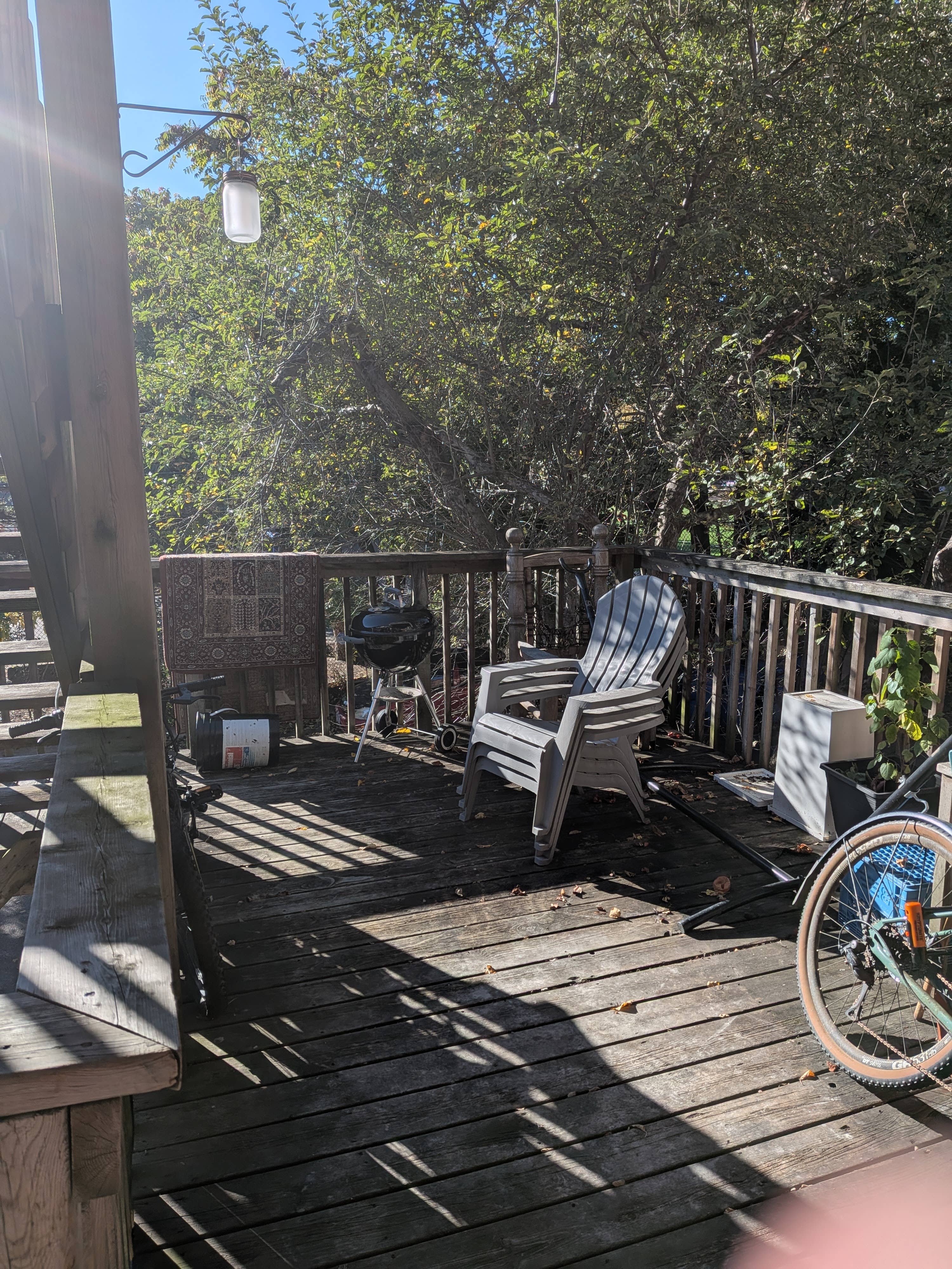 Looking For Roommate