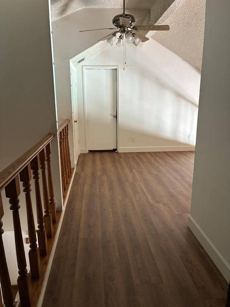 Room & Loft for Rent