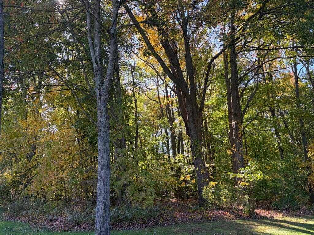 Roommate for Hiram Ohio Townhome