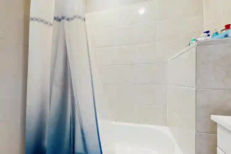 1 BR in Kansas City